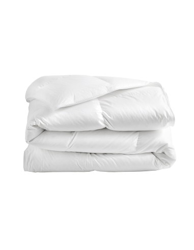 Couette Hotel Particulier naturelle 250g Paris Déstockage Promo